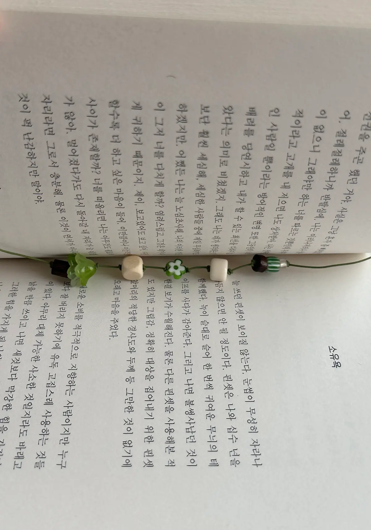 초록 꽃나무 끈갈피 2