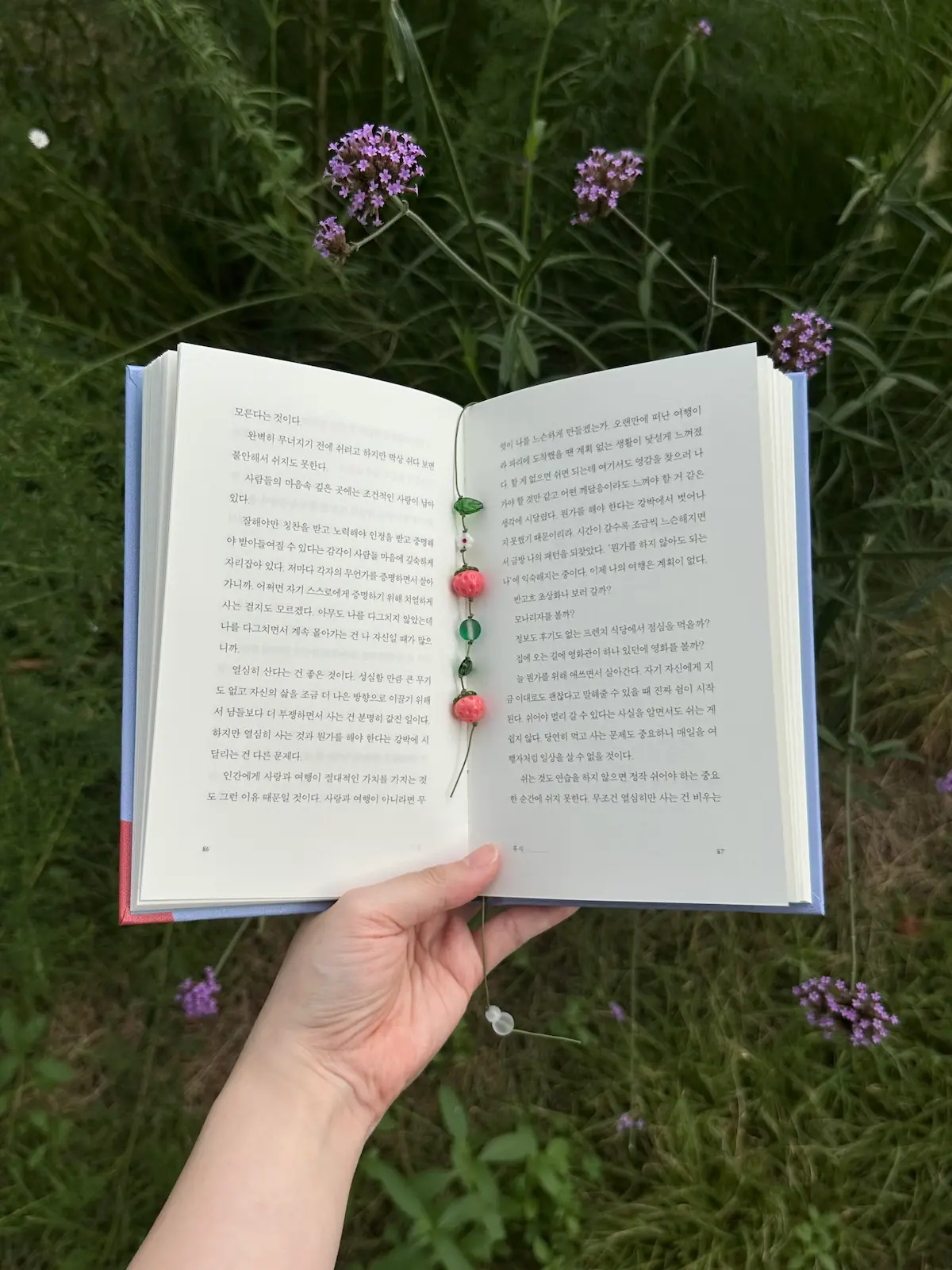 딸기 꽃 끈갈피 1