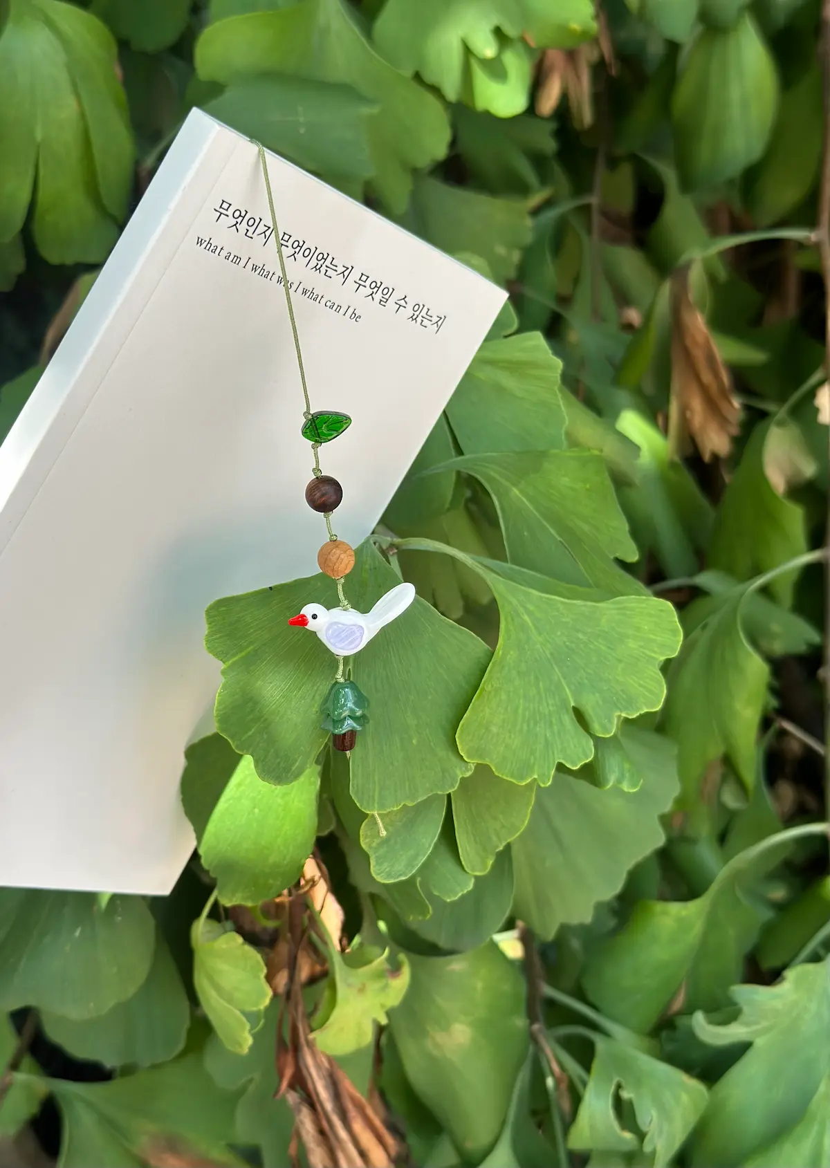 행운의 짹갈피 1